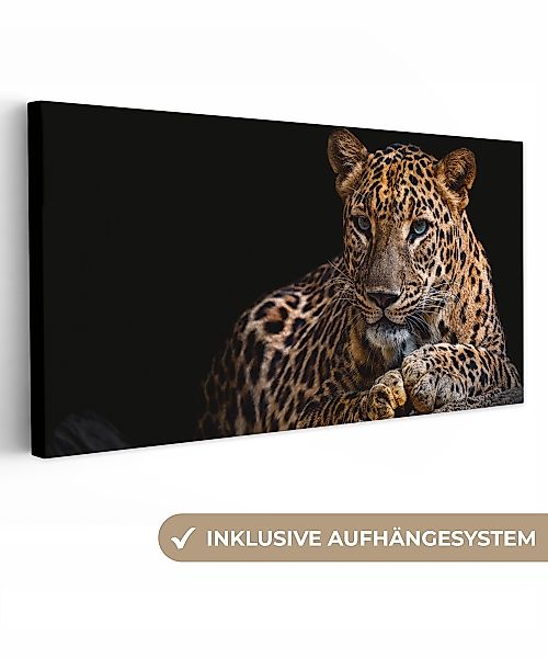OneMillionCanvasses® Leinwandbild Panorama Wildtiere - Panther günstig online kaufen