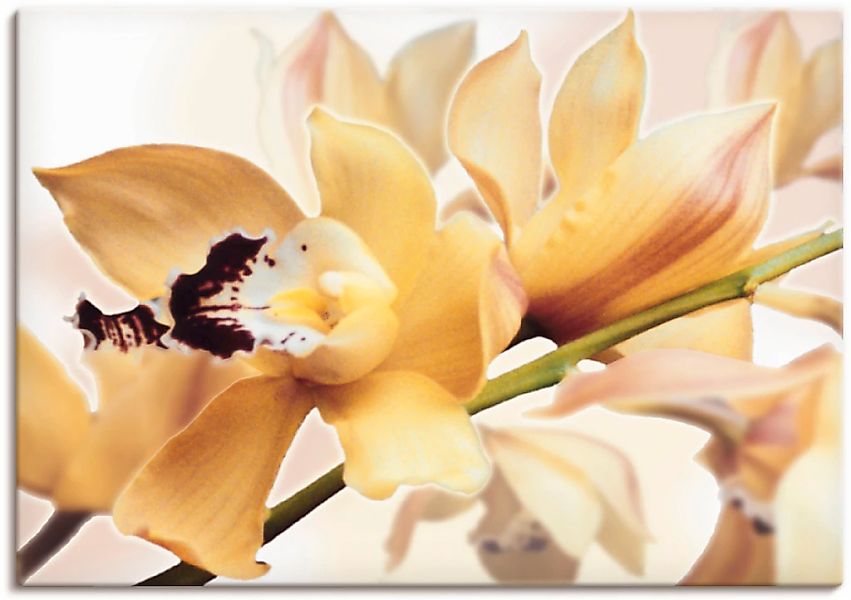 Artland Wandbild "Gelbe Orchidee" Blumenbilder 1 Stk. tlg. als Alubild, Lei günstig online kaufen