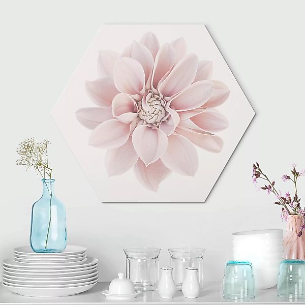 Hexagon-Alu-Dibond Bild Dahlie Blume Pastell Weiß Rosa günstig online kaufen