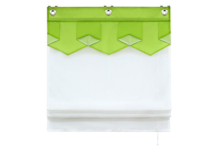 Delien Raffrollo Anita, mit Hakenaufhängung, Voile mit farbigem Abschluss günstig online kaufen