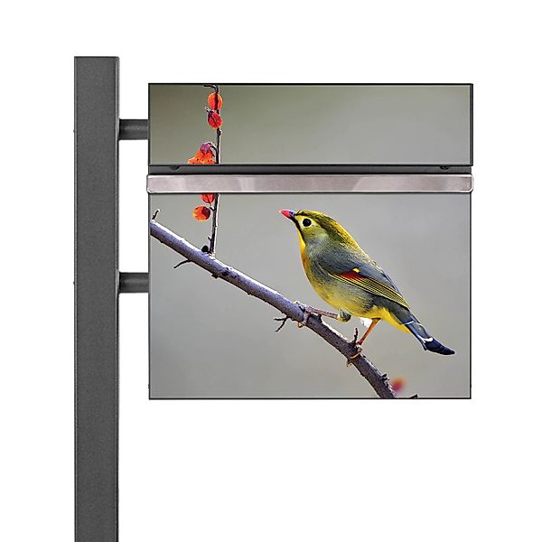 Banjado Standbriefkasten Anthrazit 45x120x16.5cm Groß Inkl. Montagematerial günstig online kaufen