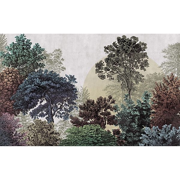 Komar Fototapete Bois Brumeux Multicolor 400 x 250 cm 611228 günstig online kaufen