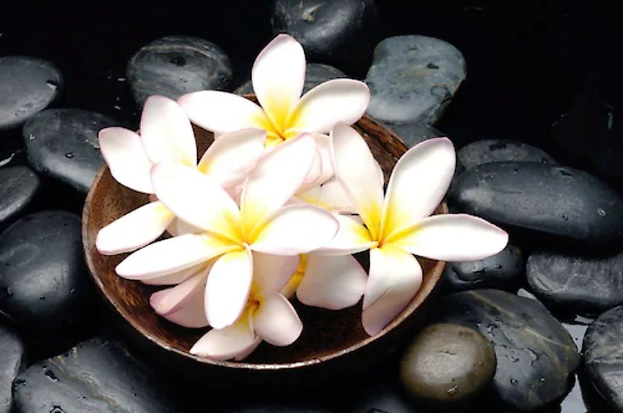 Papermoon Fototapete »Blumen mit Steinen« günstig online kaufen