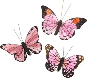 Rico Design Gartenstecker Schmetterling mit Clip günstig online kaufen