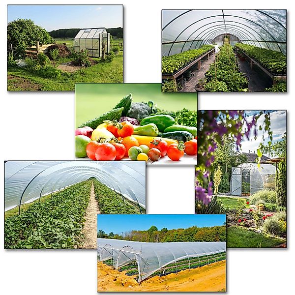 Sarcia.eu Gewächshaus Transparente Gartenfolie, Gewächshausfolie UV10 günstig online kaufen