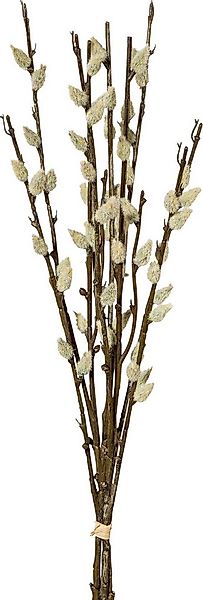 Kunstpflanze Kunstpflanze Weidekätzchenbund, Uni günstig online kaufen