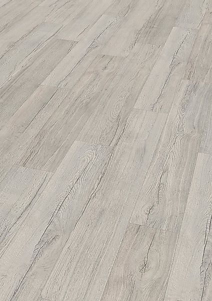 EGGER Laminat EHL145 Elva Eiche grau, (8mm, 1,995m),Praktisch & wertbeständ günstig online kaufen