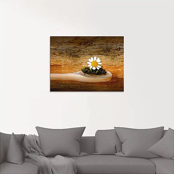Artland Glasbild "Kamille", Blumen, (1 St.) günstig online kaufen
