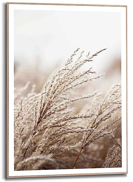 Reinders! Kunstdruck Gras günstig online kaufen