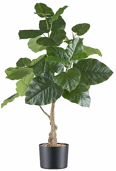 Creativ green Kunstpflanze "Ficus petiolaris", mit großformatigen Blättern günstig online kaufen