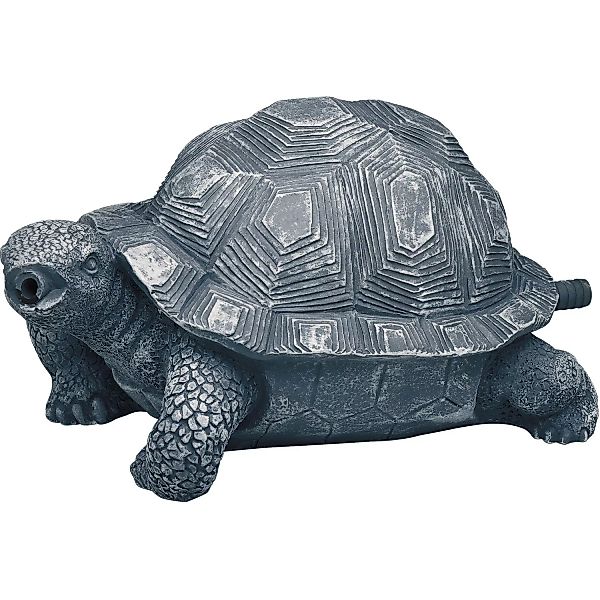 Oase Wasserspeier Schildkröte günstig online kaufen