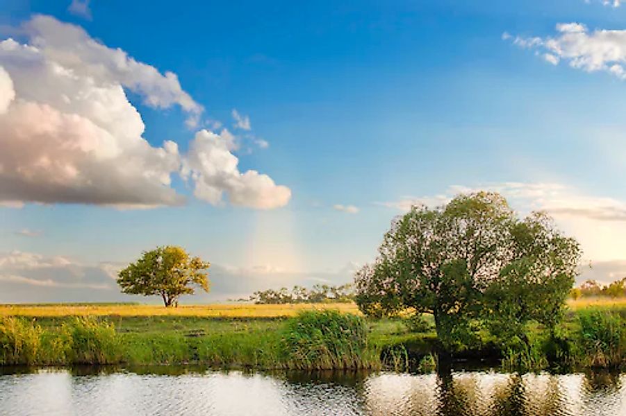 Papermoon Fototapete »River Tree Landscape« günstig online kaufen