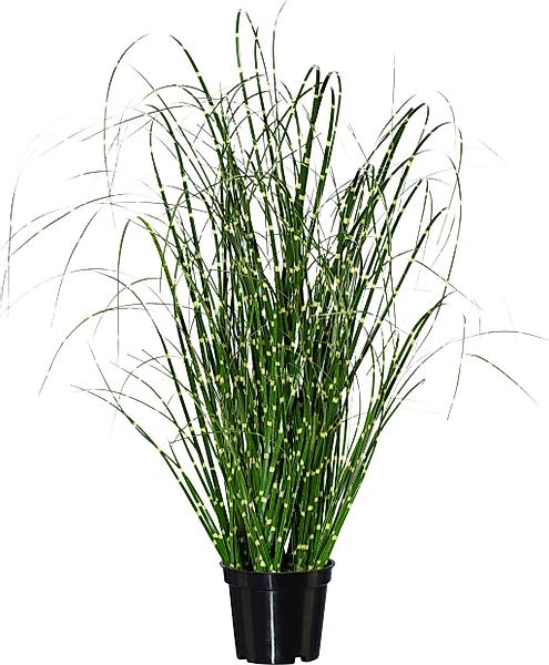 Kunstgras Miscanthus, Creativ green günstig online kaufen