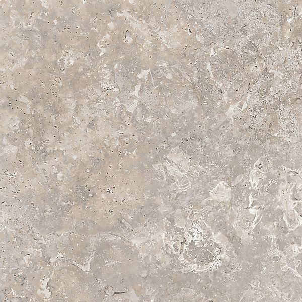 Bodenfliese Feinsteinzeug Grau 60 cm x 60 cm günstig online kaufen
