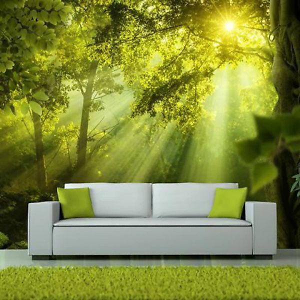 artgeist Fototapete In a Secret Forest gelb/grün Gr. 250 x 175 günstig online kaufen
