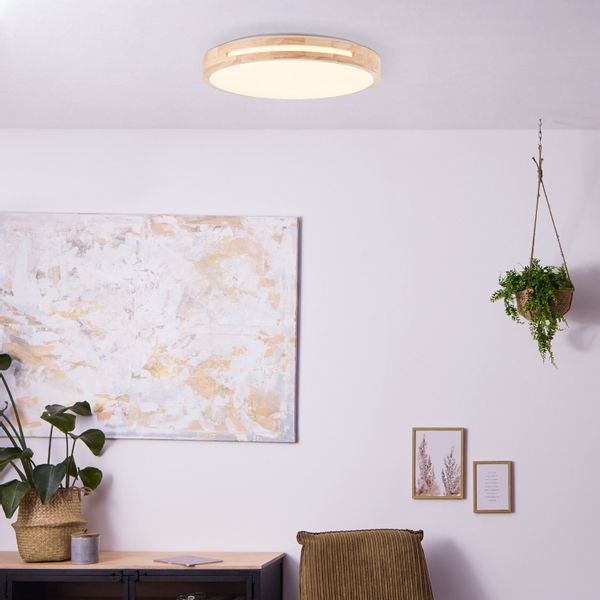 Brilliant LED Deckenleuchte Woodbury, mehrere Helligkeitsstufen, günstig online kaufen