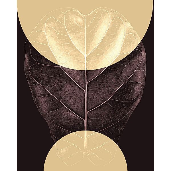 Komar Poster Shadow Theatre Blätter B/L: ca. 40x50 cm günstig online kaufen