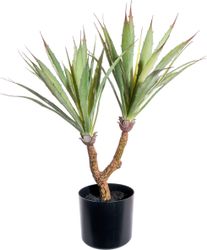 Künstliche Zimmerpflanze Agave Sukkulente, Creativ green, günstig online kaufen