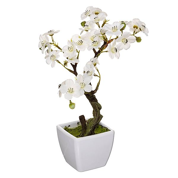 Kunstpflanze Zimmerpflanze, Atmosphera Créateur d'intérieur, Höhe günstig online kaufen