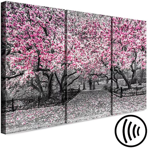 Leinwandbild Blühende Magnolie - Triptychon mit Magnolienbäumen und rosa Bl günstig online kaufen