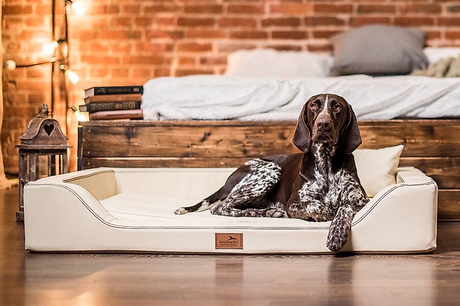 tierlando® Tierbett tierlando® Orthopädisches LUXUS-Hundebett MELODY günstig online kaufen