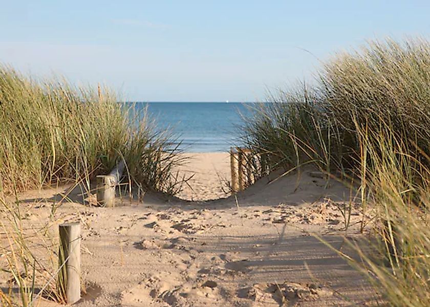 Papermoon Fototapete »Dunes in Dorset« günstig online kaufen