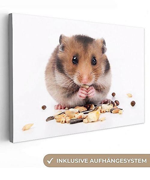 OneMillionCanvasses® Leinwandbild Hamster frisst Samen, Fotodruck (1 St), L günstig online kaufen