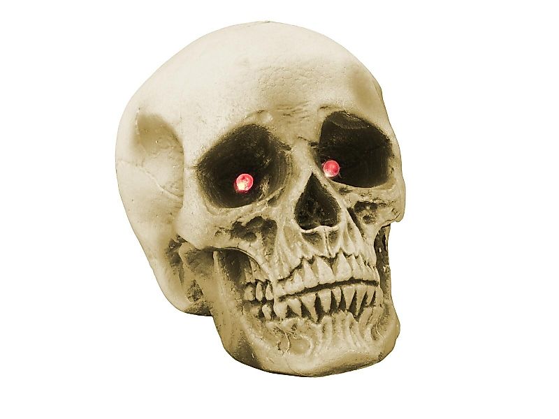 EUROPALMS Dekofigur EUROPALMS Halloween Schädel 21x15x15cm günstig online kaufen