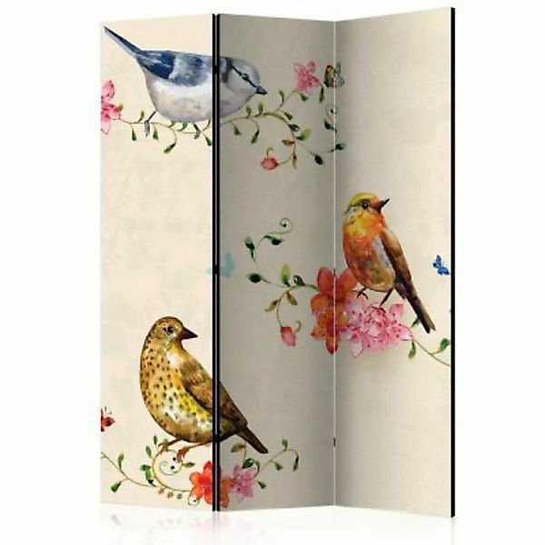artgeist Paravent Bird Song [Room Dividers] mehrfarbig Gr. 135 x 172 günstig online kaufen