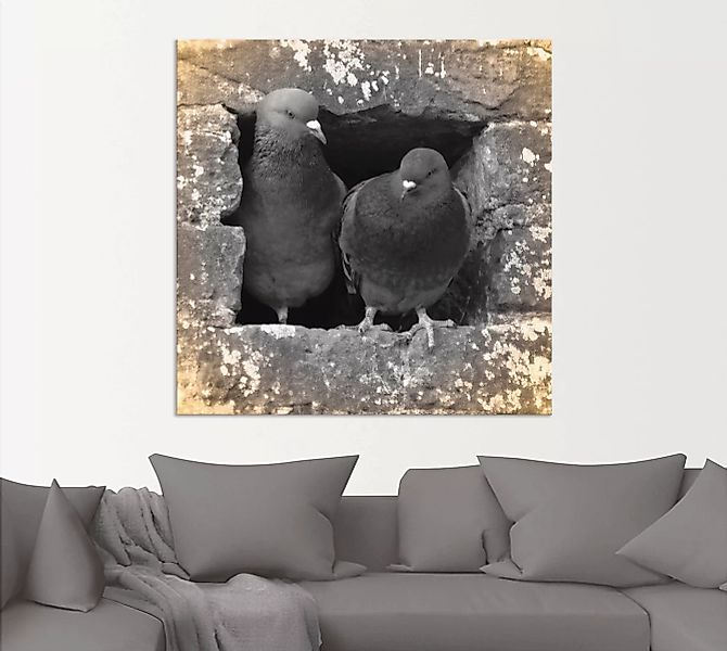 Artland Wandbild "Tauben Liebe", Vögel, (1 St.) günstig online kaufen