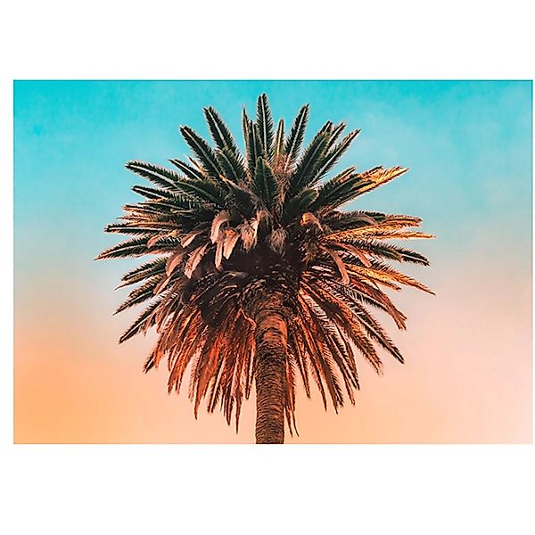 Komar Bild "Palm Tree" Blätter  Pflanzen 1 Stk. tlg. Wandbild zur Dekoratio günstig online kaufen