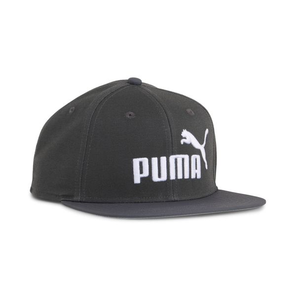 PUMA Flex Cap ESS No. 1 günstig online kaufen