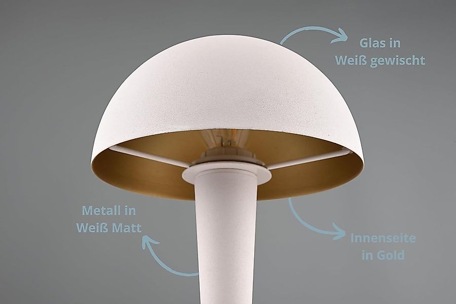 lightling LED Tischleuchte Carina, LED fest günstig online kaufen