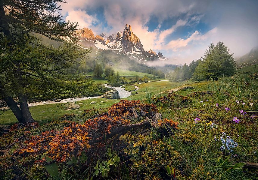 Vlies Fototapete The Last Paradise 400x280 cm günstig online kaufen