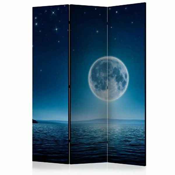 artgeist Paravent Moonlit night [Room Dividers] mehrfarbig Gr. 135 x 172 günstig online kaufen