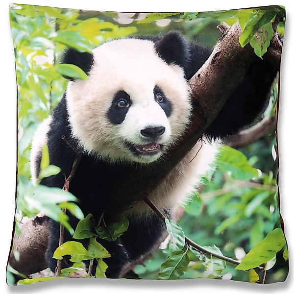 Bestlivings Kissenhülle Fotodruck 40 x 40 cm Panda Ohne Füllung günstig online kaufen