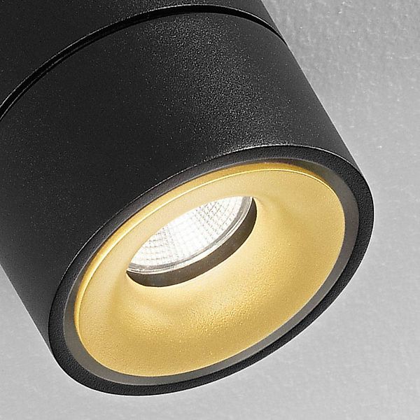 Egger Clippo Duo LED-Spot, schwarz-gold, 3.000K günstig online kaufen