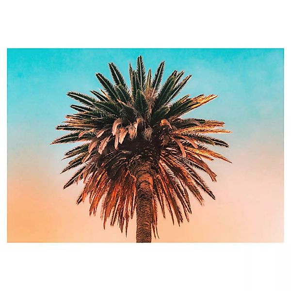 KOMAR Wandbild - Palm Tree - Größe: 70 x 50 cm mehrfarbig Gr. one size günstig online kaufen