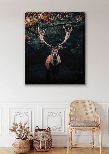 Bönninghoff Leinwandbild, Hirsch-Hirschbilder-Hirsche-Rehe-Tiere-Wildtiere- günstig online kaufen