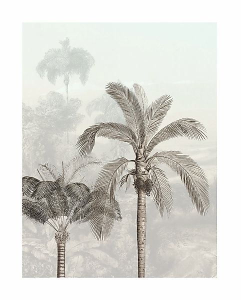 Komar Bild "Jungle Panorama" Natur 1 Stk. tlg. Wandbild zur Dekoration - oh günstig online kaufen