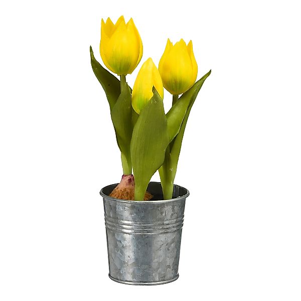 Tulpe im Zinktopf ca.20cm, gelb günstig online kaufen