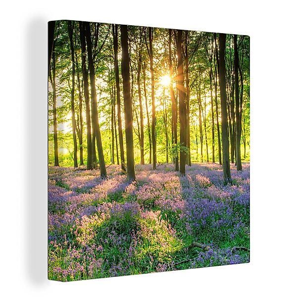 OneMillionCanvasses® Leinwandbild Frühling - Wald - günstig online kaufen