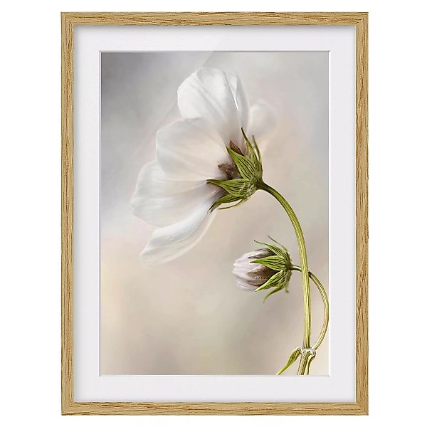 home24 Bild Himmlischer Blütentraum IV günstig online kaufen