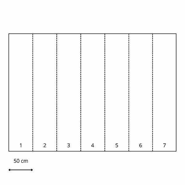 ESTAhome Fototapete Wohnzimmerzeichnung Schwarz-Weiß 3,255 x 2,79 m 159097 günstig online kaufen