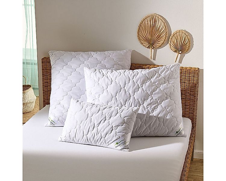 TRAUMSCHLAF Naturhaarkissen Kamelhaar Nature, Füllung: Bezug: 100% Baumwoll günstig online kaufen