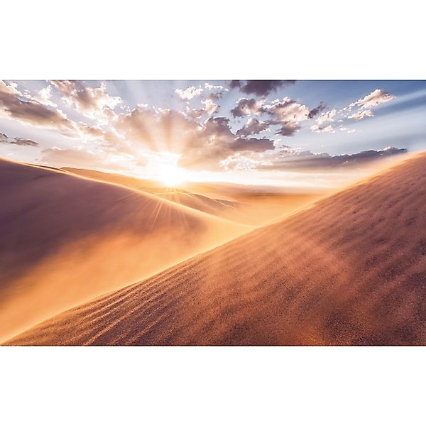 Komar Fototapete Vlies Gently Touched  400 x 250 cm günstig online kaufen