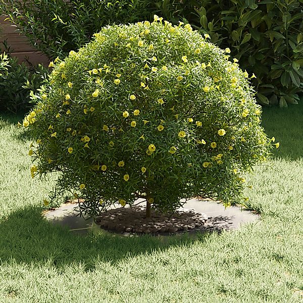 vidaXL Blumentopf Edelstahlpflanzgefäß Edelstahl Mittel Dekorative günstig online kaufen