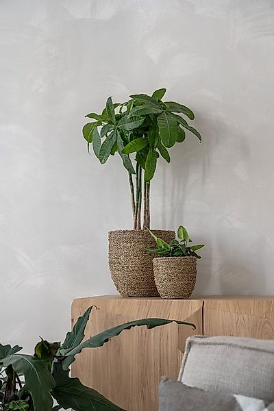 finestgreen Pflanzkübel Cody Straw Grass handgewebter Pflanzkorb günstig online kaufen