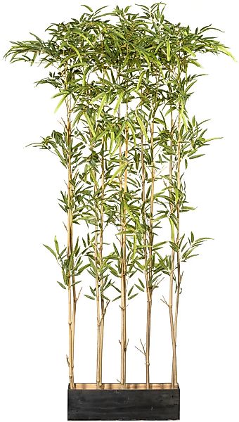 Creativ green Künstliche Zimmerpflanze »Bambusraumteiler« günstig online kaufen