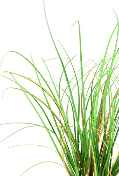 I.GE.A. Kunstpflanze "Gras im Reisig" Künstlicher Grasbusch, 2er Set günstig online kaufen